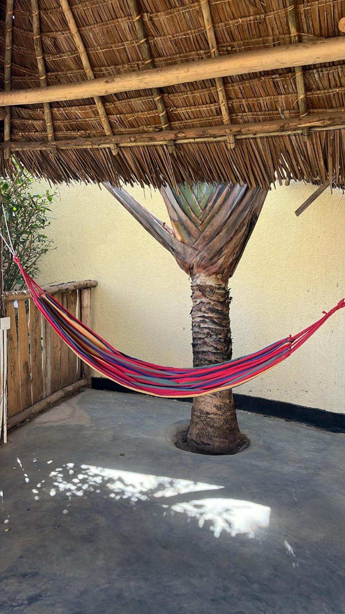 Stasumo House Arusha Bed and Breakfast Εξωτερικό φωτογραφία